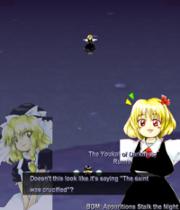 Rumia, with Marisa, explaining her outstretched arms.