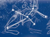 The "Daitengu" constellation, as seen in Touhou Kourindou.